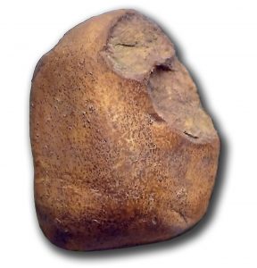 herramienta de piedra grande tallada en una parte para producir un tosco filo para cortar o raspar
