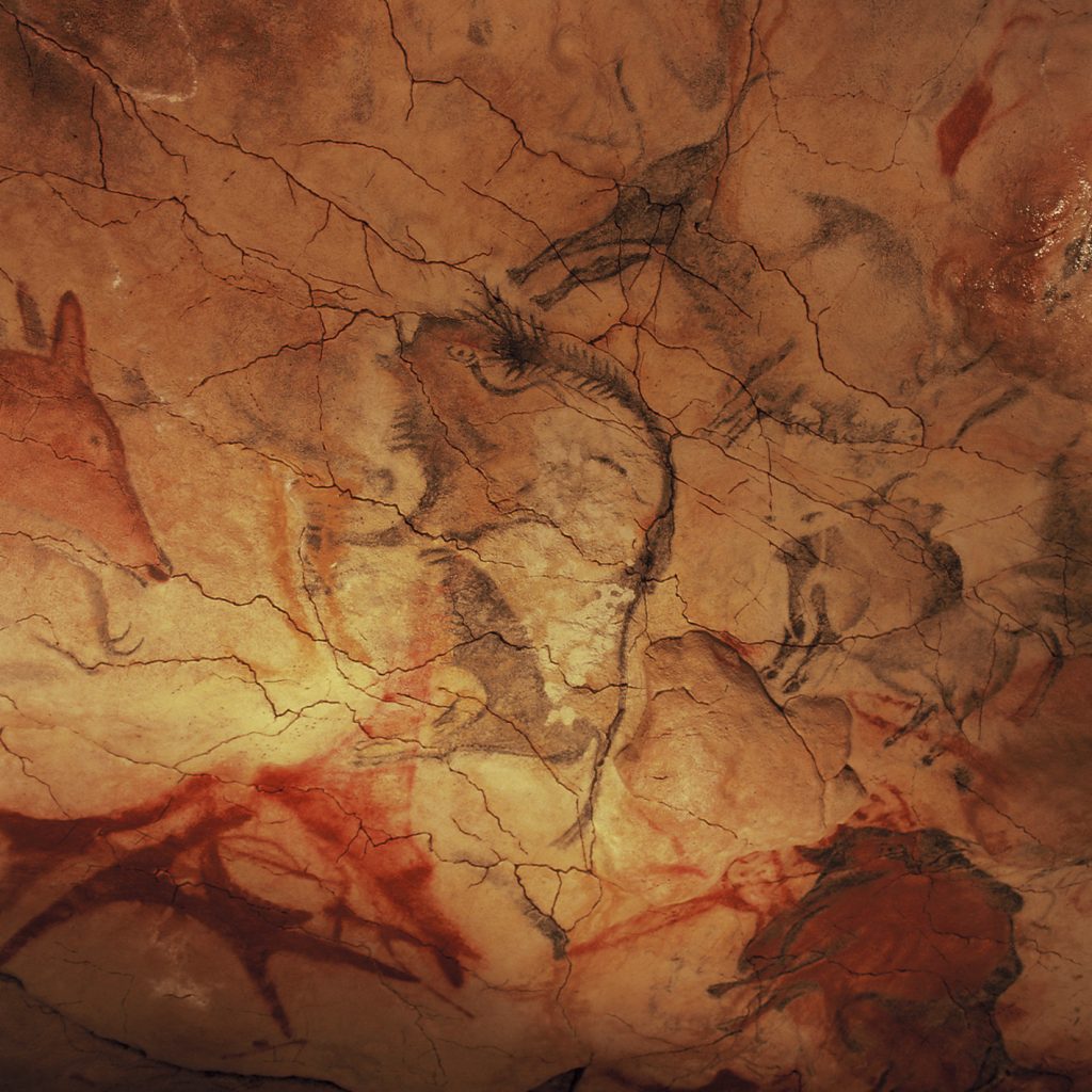 foto de pinturas rupestres de numerosos animales, incluso la cabeza muy realista de un ciervo y varios bisontes; hay algunas figuras más abstractas también.